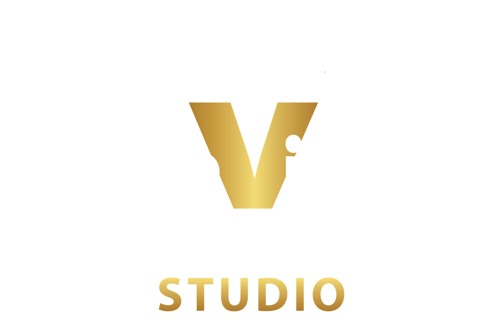 Snapvisionstudio